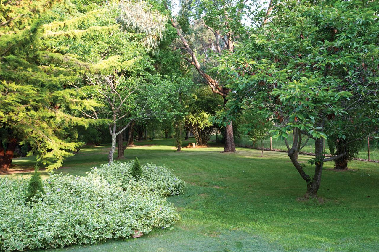 Clifton Gardens Bed & Breakfast - Orange Bed & Breakfast Exterior photo